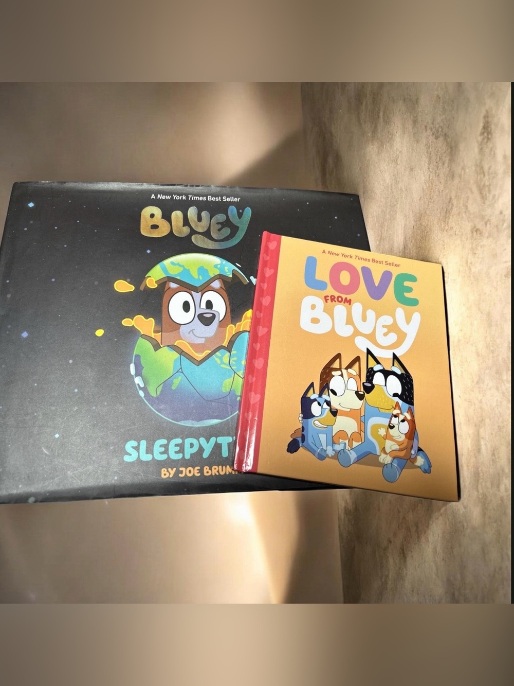 Children- Bluey Kids Book Duo